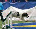 20150322-leap-0987