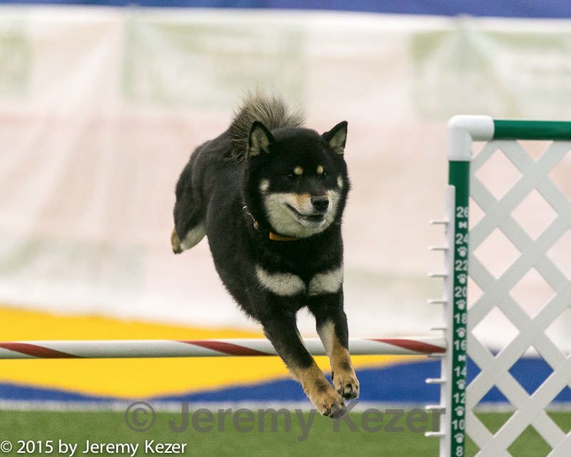 20150322-leap-0974.jpg
