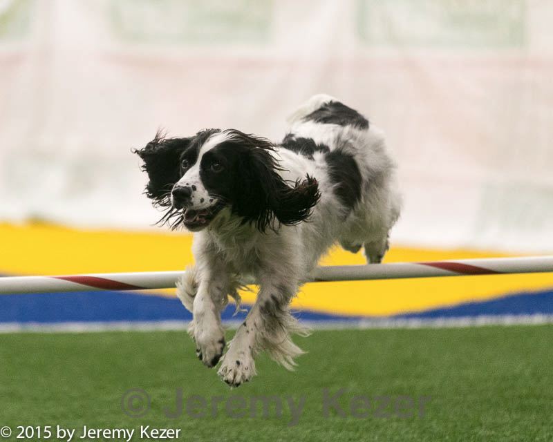 20150322-leap-0988.jpg