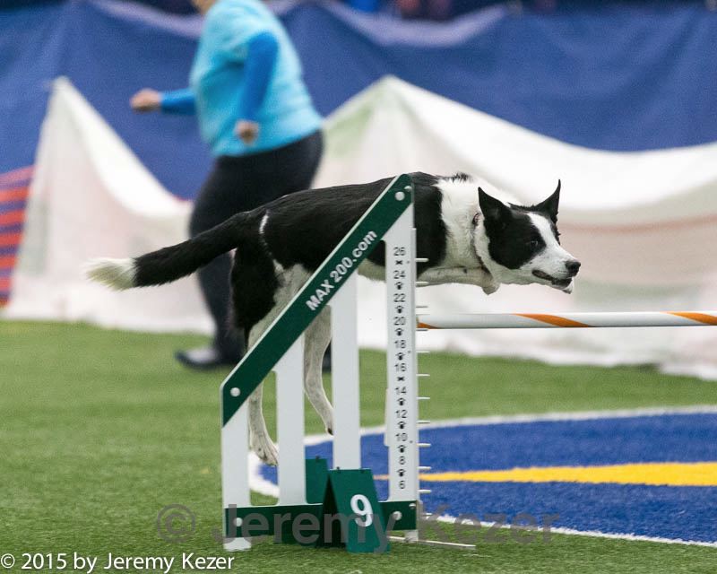 20150322-leap-1073.jpg
