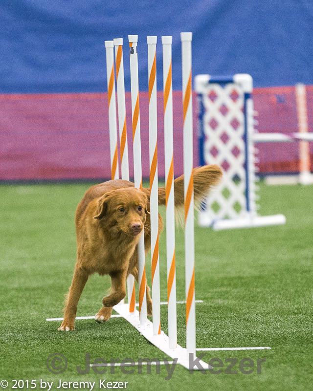 20150322-leap-1084.jpg