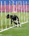 20150322-leap-0922