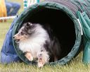 20150516-neat-1025