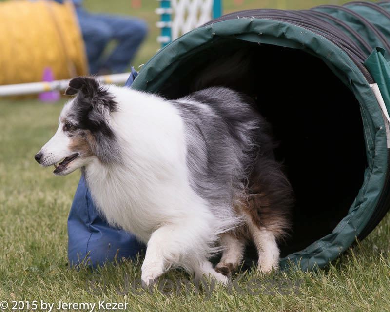 20150516-neat-1035.jpg