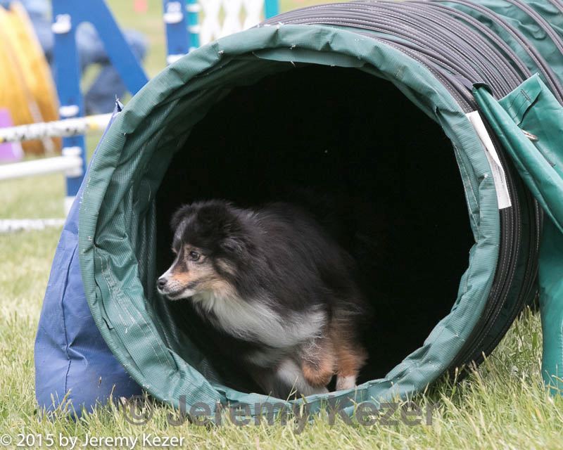 20150516-neat-1047.jpg