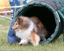 20150516-neat-1052