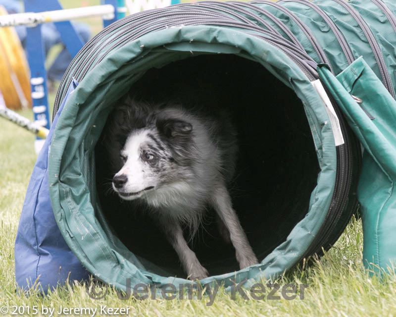 20150516-neat-1054.jpg