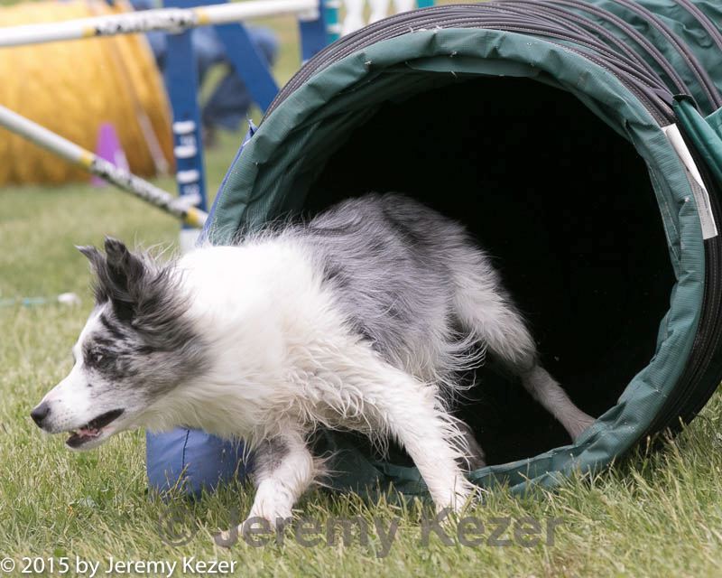 20150516-neat-1056.jpg