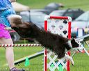 20150516-neat-0744