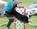 20150516-neat-0767