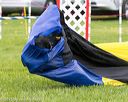 20150516-neat-0768