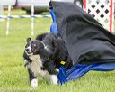20150516-neat-0769