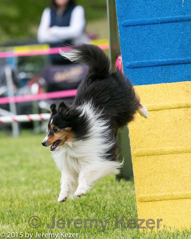 20150516-neat-0111.jpg