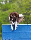 20150516-neat-0147