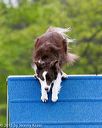 20150516-neat-0148