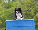 20150516-neat-0154