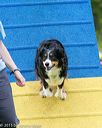 20150516-neat-0156