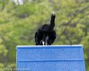 20150516-neat-0161