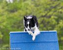 20150516-neat-0170