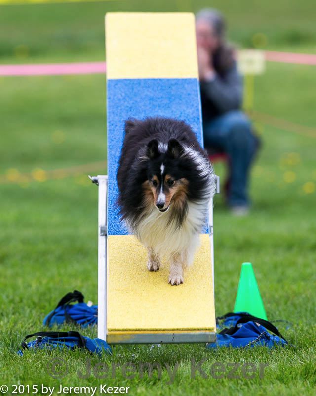20150516-neat-0924.jpg