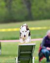 20150516-neat-1013