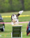 20150516-neat-1017
