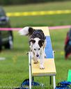 20150516-neat-1018