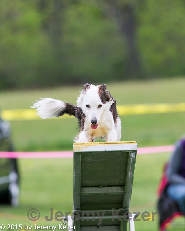 20150516-neat-1019.jpg