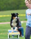 20150516-neat-0934