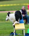 20150516-neat-0944