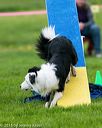 20150516-neat-0949