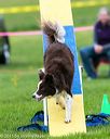 20150516-neat-0962