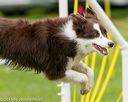 20150516-neat-0965