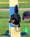 20150516-neat-0980