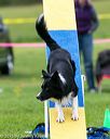 20150516-neat-0986