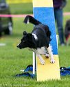 20150516-neat-0987