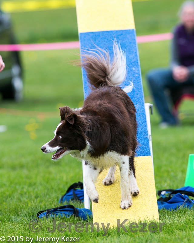 20150516-neat-0963.jpg