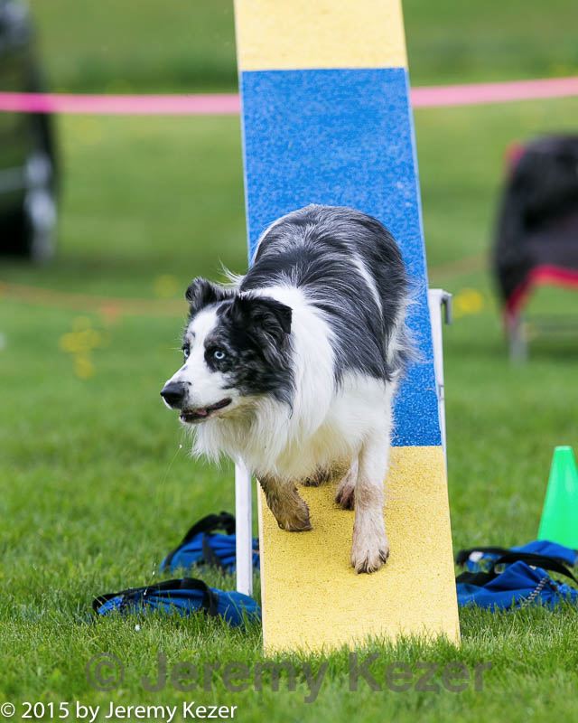 20150516-neat-0972.jpg