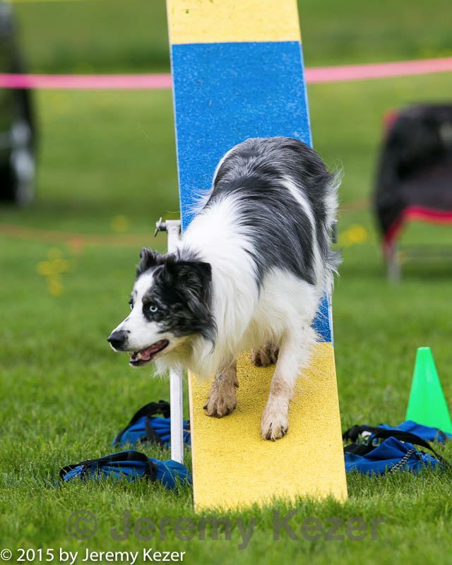 20150516-neat-0977.jpg
