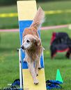 20150516-neat-1002