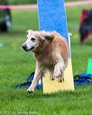 20150516-neat-1004
