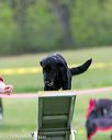 20150516-neat-1007