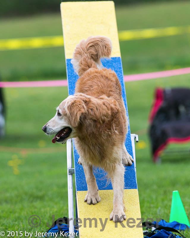 20150516-neat-0995.jpg
