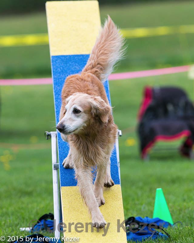20150516-neat-1002.jpg