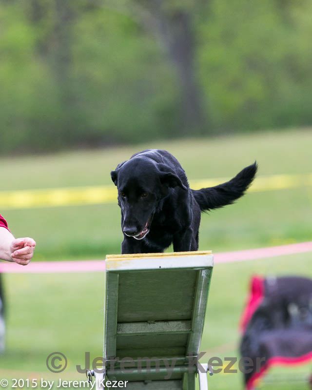 20150516-neat-1007.jpg
