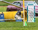 20150516-neat-0483