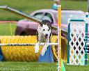 20150516-neat-0665