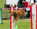 20150516-neat-0670