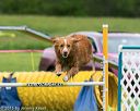 20150516-neat-0673