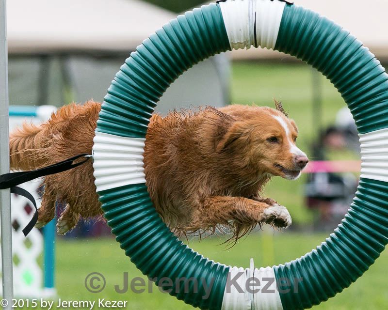 20150516-neat-0674.jpg
